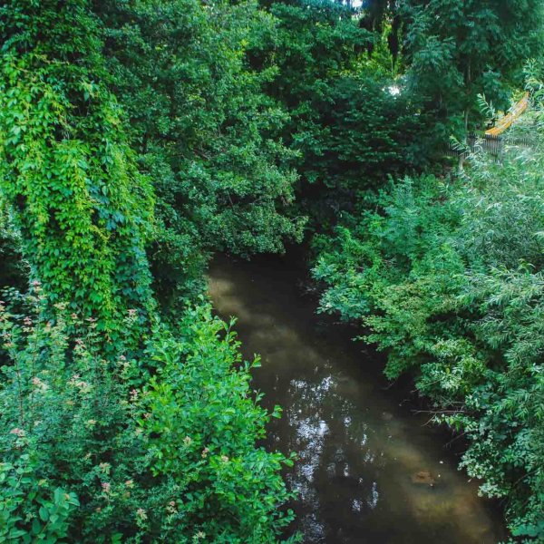 The pilgrimage route also leads along the Mittlerer Ebrach stream with its green belt